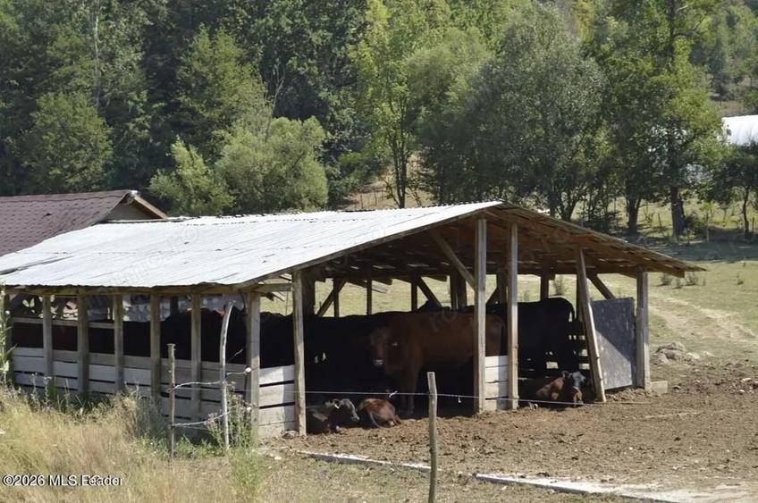 Spațiu comercial, de 1,887 mp, în Bogați