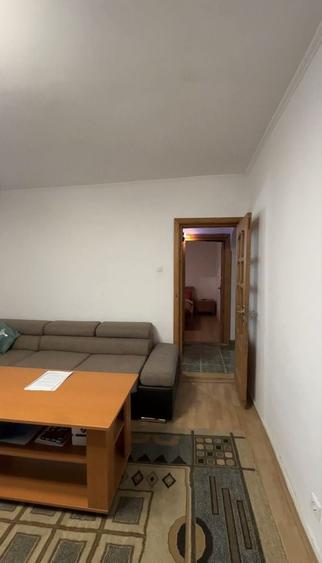 Apartament de vanzare - Dr.Tr.Severin - 8