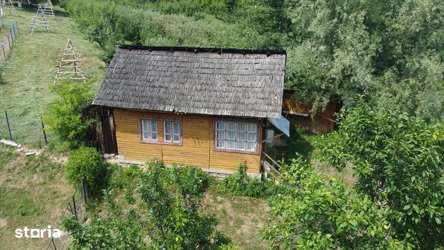 Teren de 6200 mp, în Cicănești