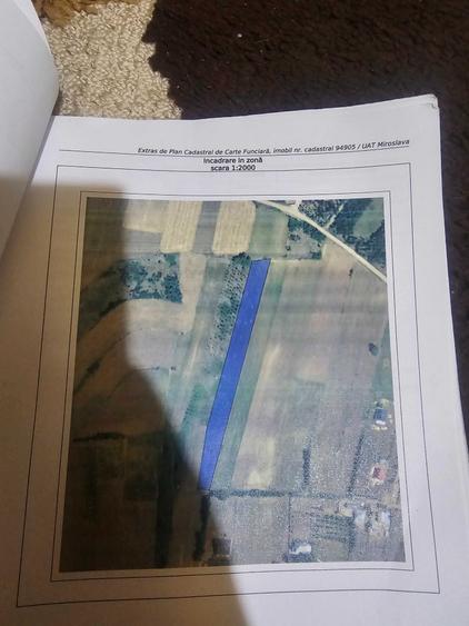 Teren de 5000 mp, în Proselnici