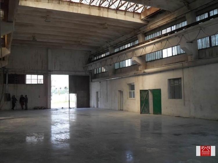 Spațiu industrial, de 7,000 mp, în Sânnicolau Mic