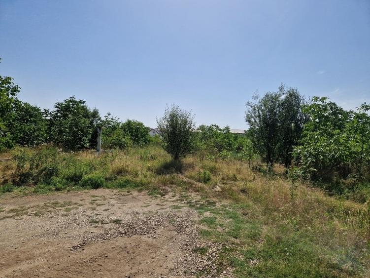 Teren Construcții intravilan de 598 mp, în Domnești