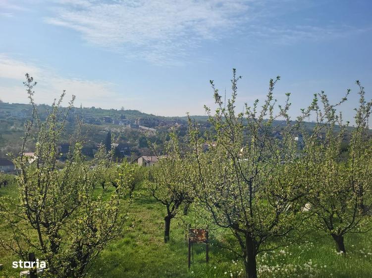 Spațiu comercial, în Spitalul Județean