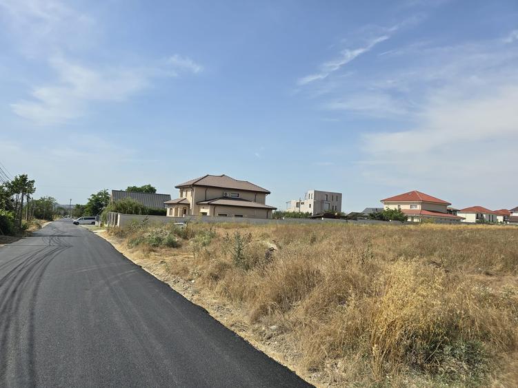 Teren Construcții intravilan de 8000 mp, în Lazu