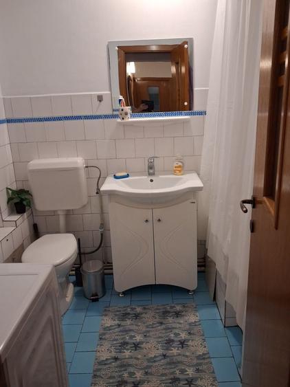 Apart. mobilat-utilat 2 cam. B-dul Grivitei - Centru Civic, Proprietar - 3