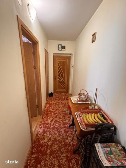 Apartament cu 3 camere decomandat în Lăpuș Argeș