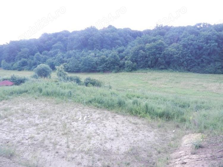 Teren de 2500 mp, în Sâncraiu de Mureș