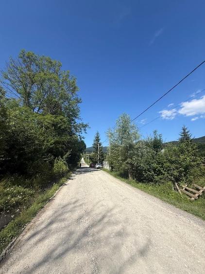 Teren Construcții intravilan de 1662 mp, în Trăisteni