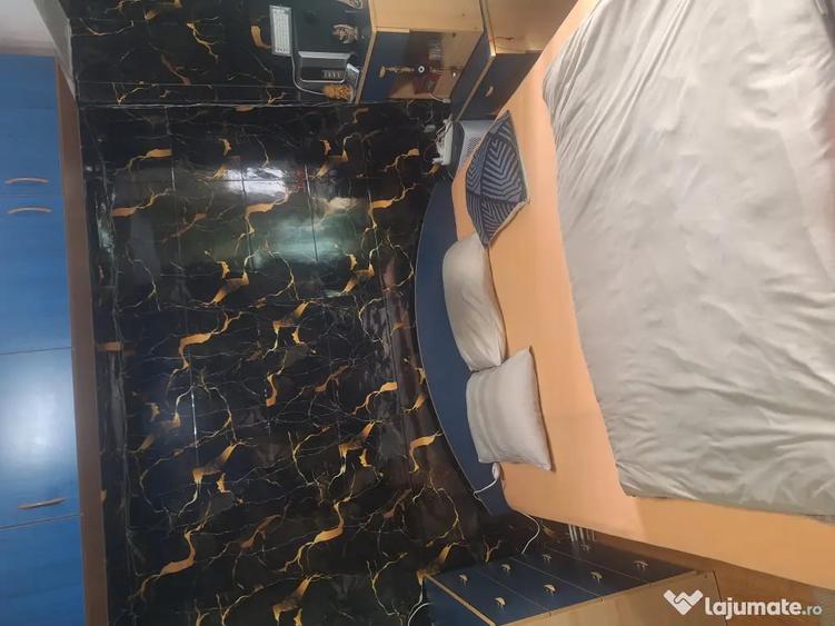 Apartament cu 2 camere decomandat în Turnișor