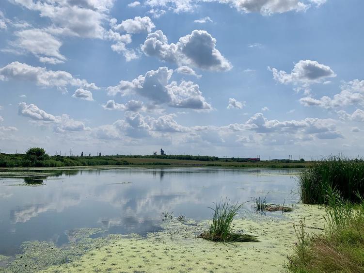 Teren agricol intravilan de 62000 mp, în Crevedia