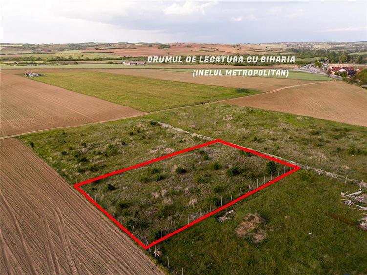 RECO Teren de vanzare Paleu 1025mp - 7