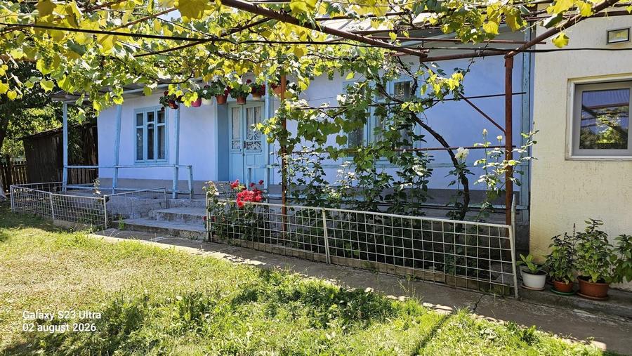 Casă cu 3 camere în Central