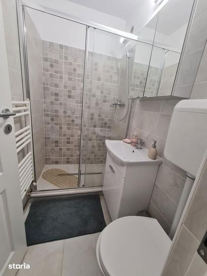 Inchiriez 2 camere zona Faget Gara pet friendly - 1