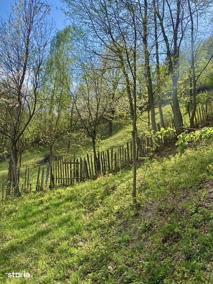 Teren de 4360 mp, în Valea Doftanei
