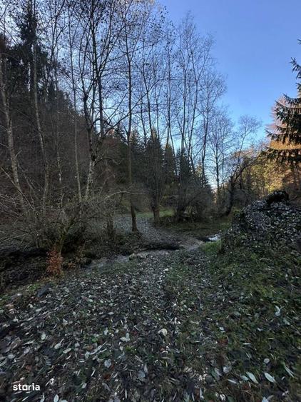 Teren de 2882 mp, în Dâmbovicioara