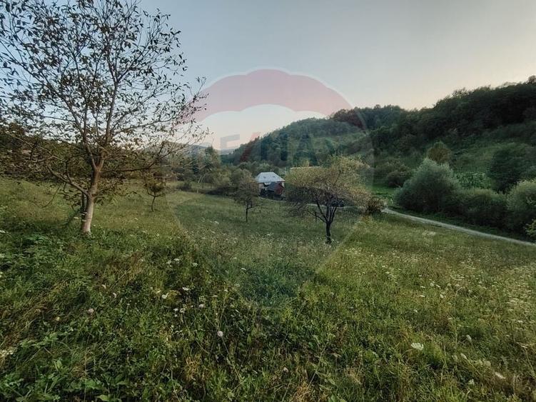 Teren Construcții intravilan de 2339 mp, în Bârsana