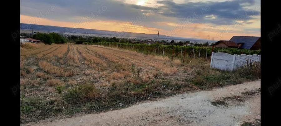 Teren de 1500 mp, în Central