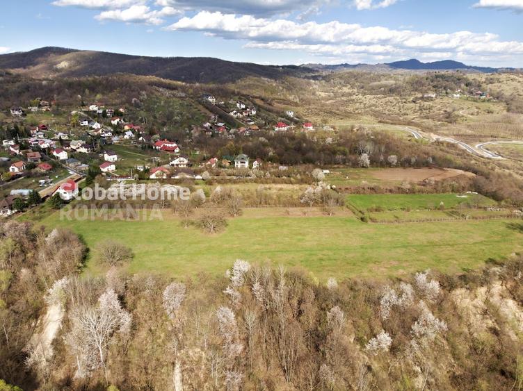 Teren Construcții intravilan de 23345 mp, în Cornu de Jos (Cornu)