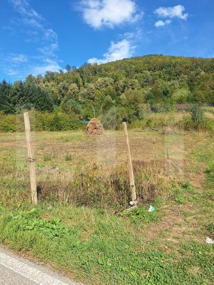 Teren Construcții extravilan de 4847 mp, în Nădrag