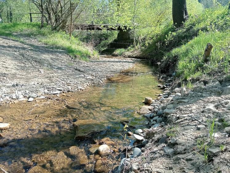 Teren de 1800 mp, în Varvata