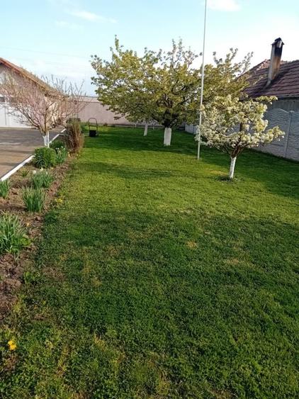 Casă cu 3 camere în Aurel Vlaicu