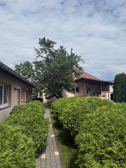 Casă individuală cu 8 camere cu Canalizare în Ultracentral