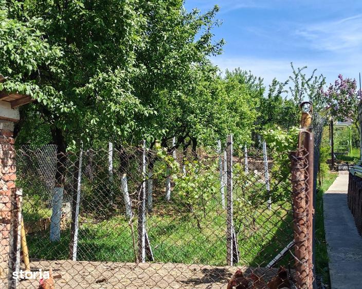 Casă cu 3 camere cu Teren 700 Mp în Central