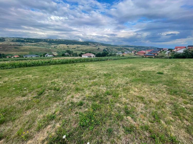 Teren de 5800 mp, în Corușu
