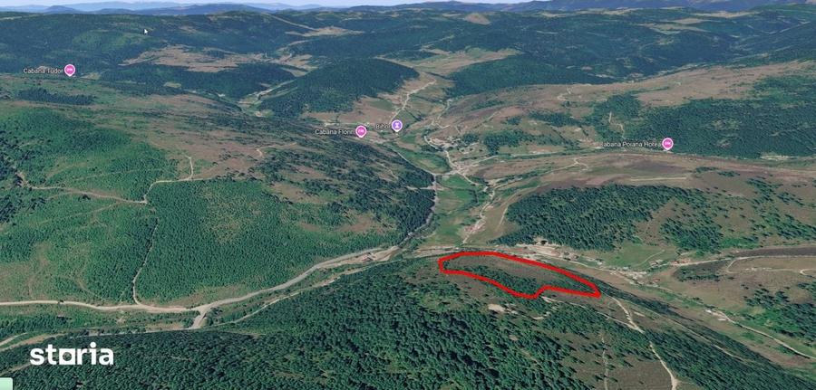 Teren de 56829 mp, în Beliș