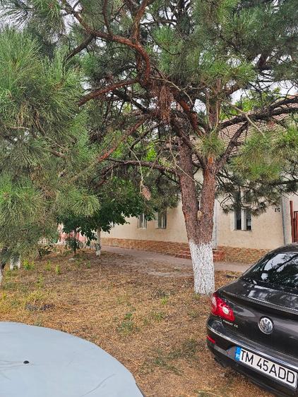 Casă individuală cu 4 camere cu Teren 2169 Mp în Beba Veche