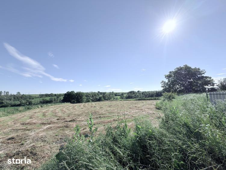 Casă cu 2 camere cu Teren 3600 Mp în Vlădeni