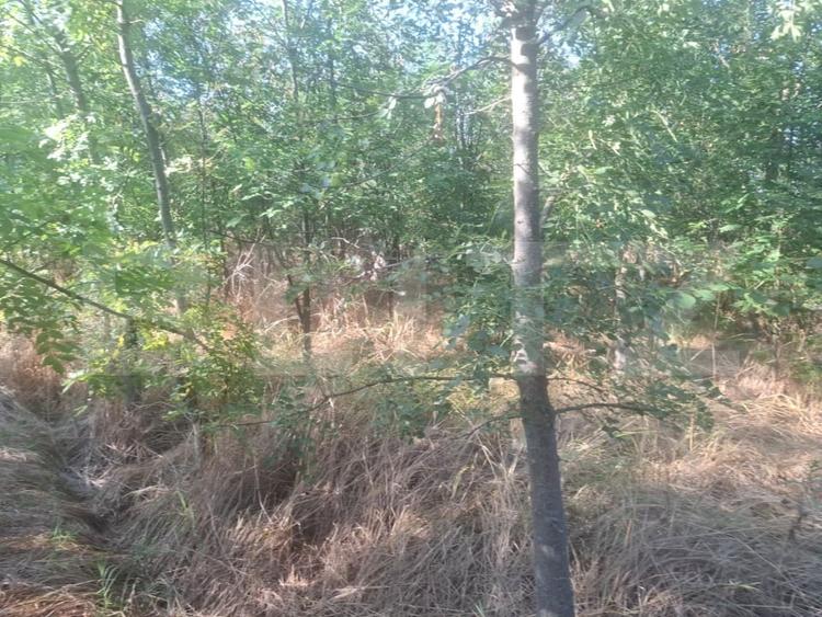 Teren Construcții extravilan de 5000 mp, în Mătăsaru