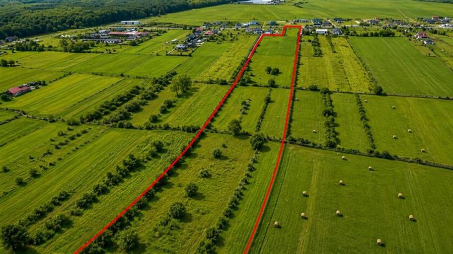 Teren Construcții intravilan de 21700 mp, în Solovăstru