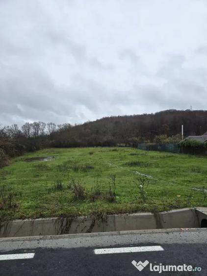 Teren de 2800 mp, în Borlești