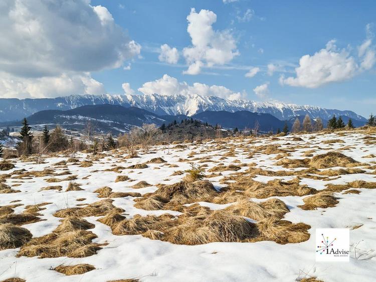 Teren Construcții extravilan de 150000 mp, în Șirnea