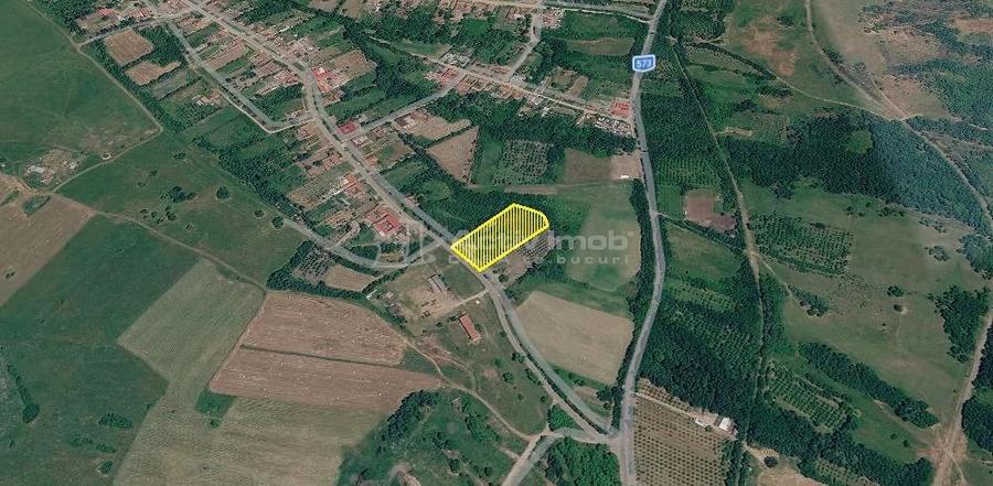 Casă cu Teren 5314 Mp în Răchitova