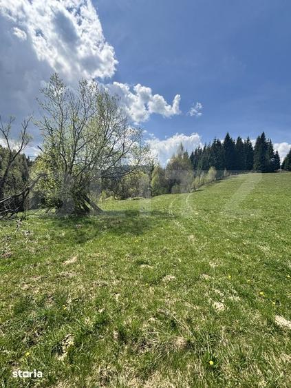 Teren de 8450 mp, în Central