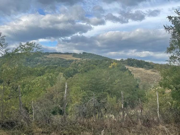 Teren de 1280 mp, în Predeal