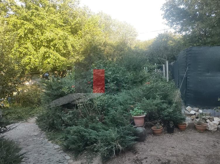 Teren în Copăceni