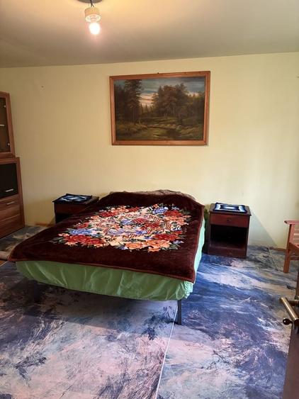 Casa de vanzare cu teren de 18 arii in Sanpetru Almasului - 14