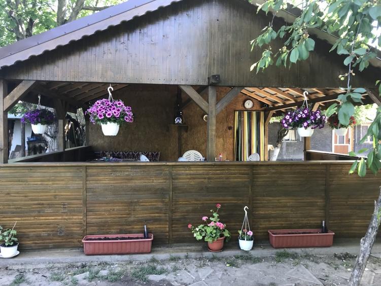 Casă individuală cu 5 camere cu Teren 2500 Mp în Valea Roșie