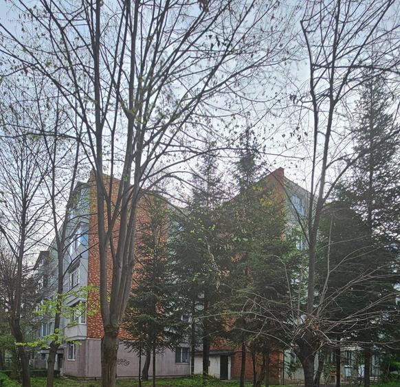 Apartament cu 4 camere nedecomandat în Central