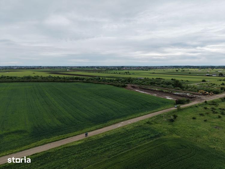 Teren de 5000 mp, în Ciorogârla