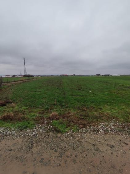 Teren Construcții intravilan de 3266 mp, în Ișalnița