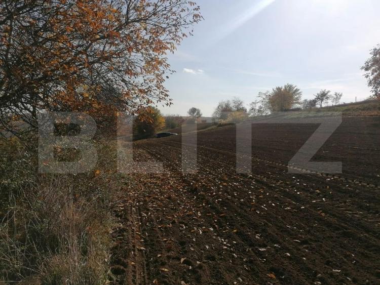 Teren Construcții extravilan de 5000 mp, în Vest
