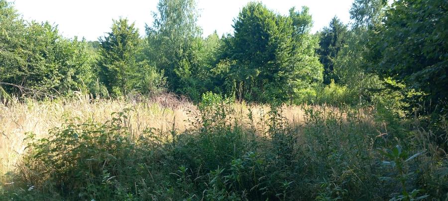Teren Construcții intravilan de 3700 mp, în Porumbacu de Sus