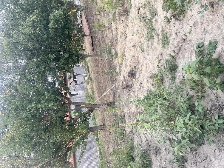 Casă cu Teren 1044 Mp în Central