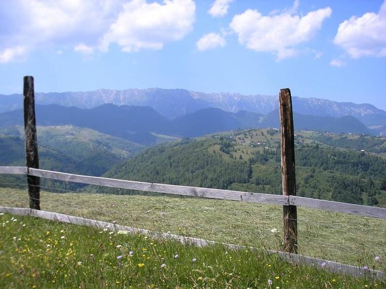 Teren intravilan de 3700 mp, în Moieciu de Jos