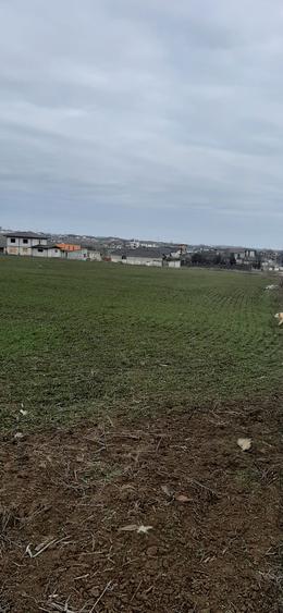 Teren Construcții intravilan de 490 mp, în Lazu