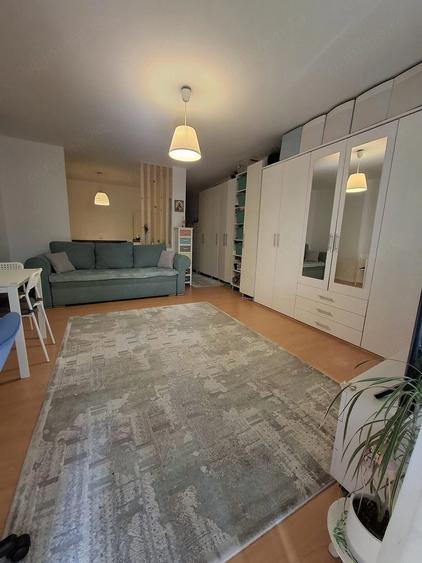 Apartament cu 2 camere semidecomandat în Tilișca